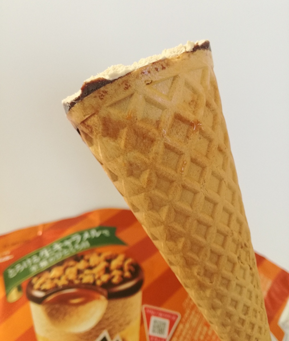 f:id:mousouryoku:20191203154323j:plain f:id:mousouryoku:20191203154323j:plain