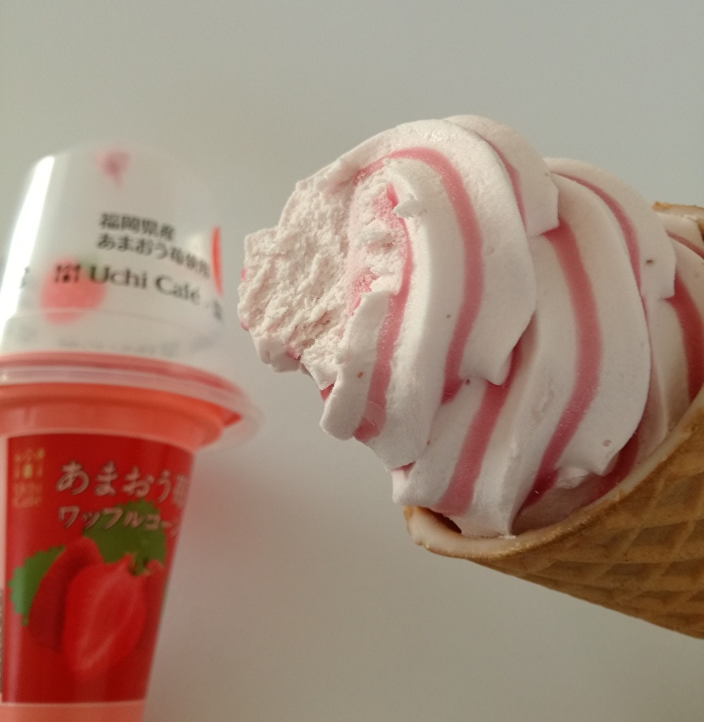 f:id:mousouryoku:20191207152602j:plain