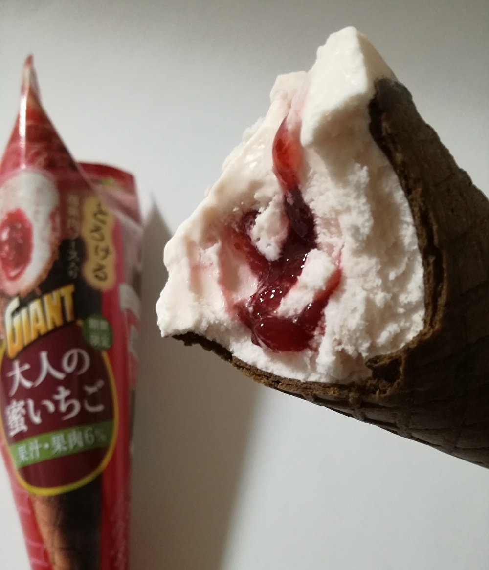 f:id:mousouryoku:20191230215741j:plain