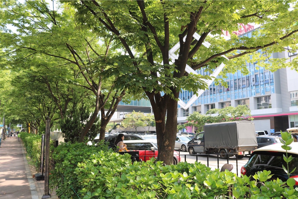 f:id:mouukiuki:20180905110205j:image f:id:mouukiuki:20180905110205j:image