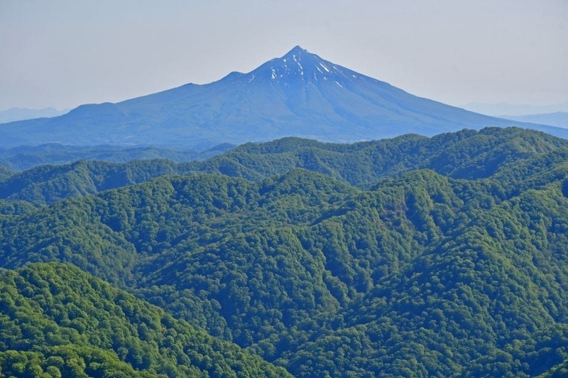 東北の山を眺める6／津軽の名峰・岩木山 - モウズイカの花紀行