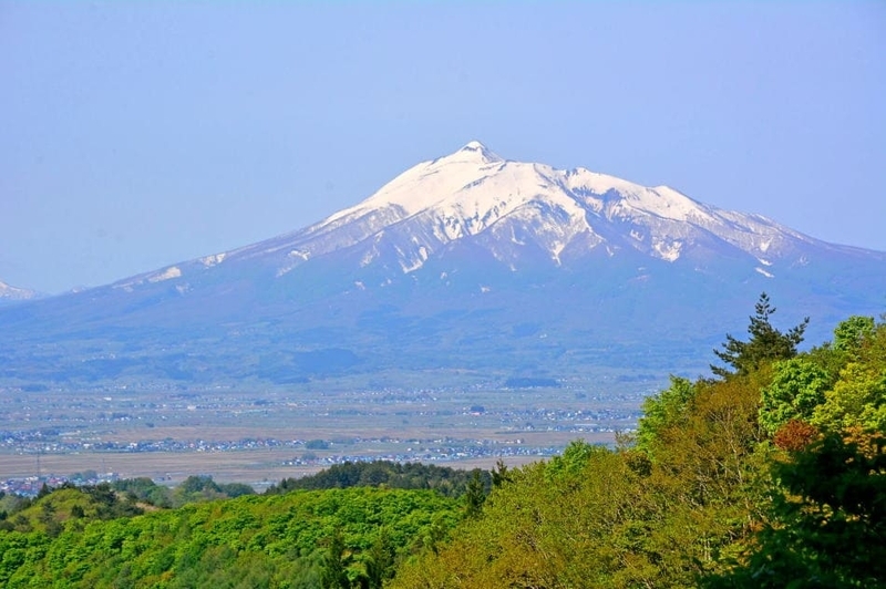東北の山を眺める6／津軽の名峰・岩木山 - モウズイカの花紀行