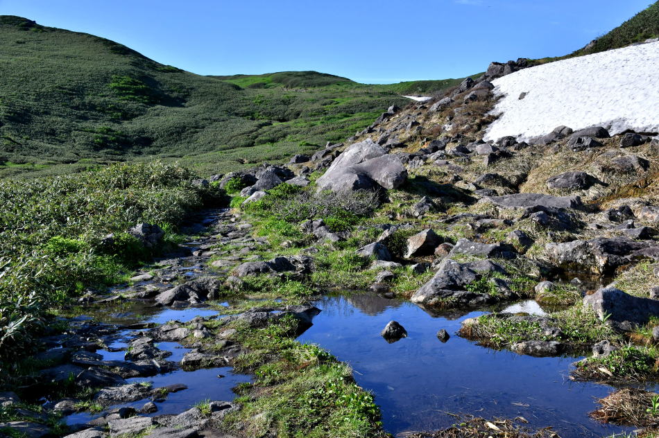 【中古】 鳥海山の植物 遊佐町 鳥海山の花図鑑 Mount Chōkai in Yuza, Yamagata