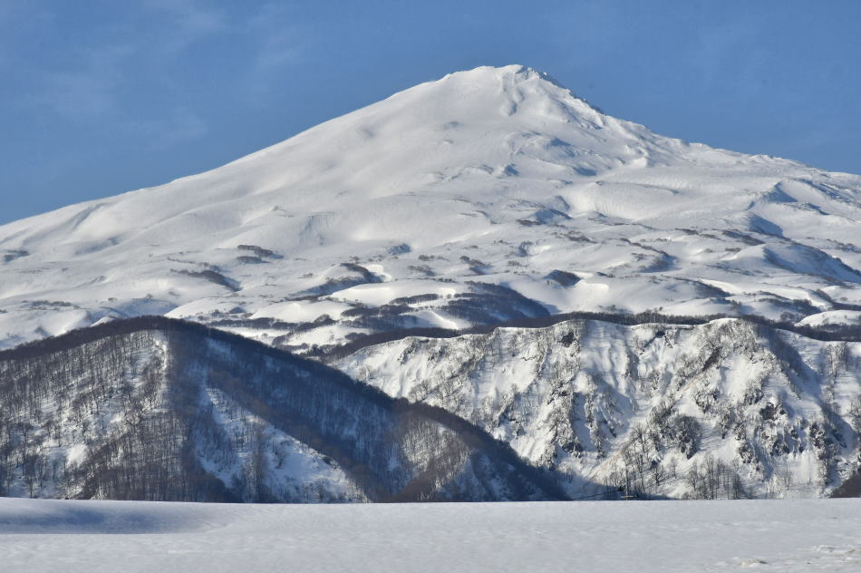 今年初の鳥海山北面巡礼（2026年2月22日） - モウズイカの花紀行
