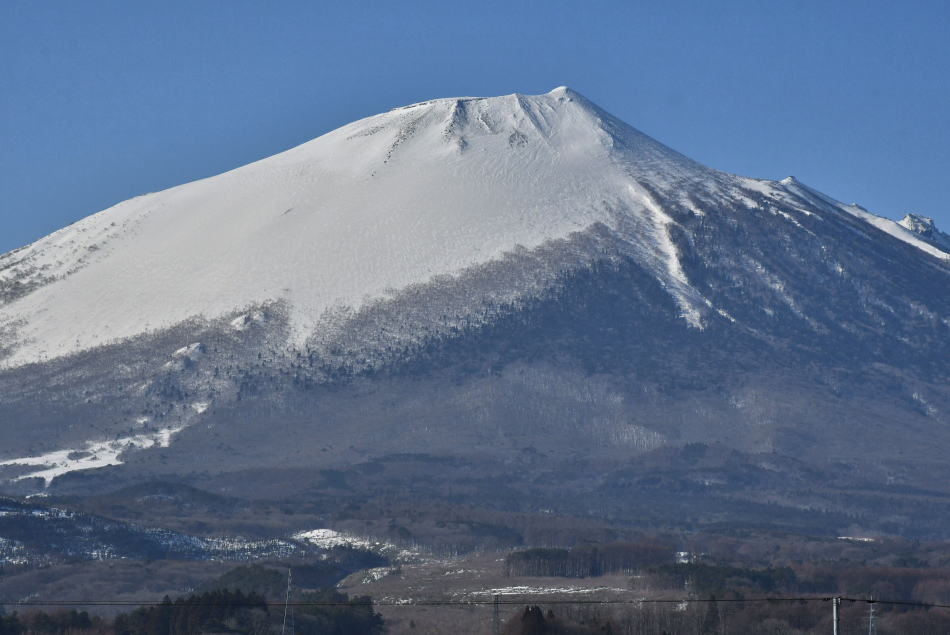 2026年2月26日、岩手山を巡る（3おわり） - モウズイカの花紀行