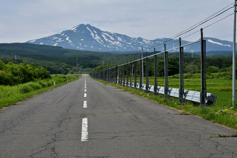 鳥海山由来の珪化木、「白き峰」管理No.80324 桑ノ木台湿原特集 – 由利