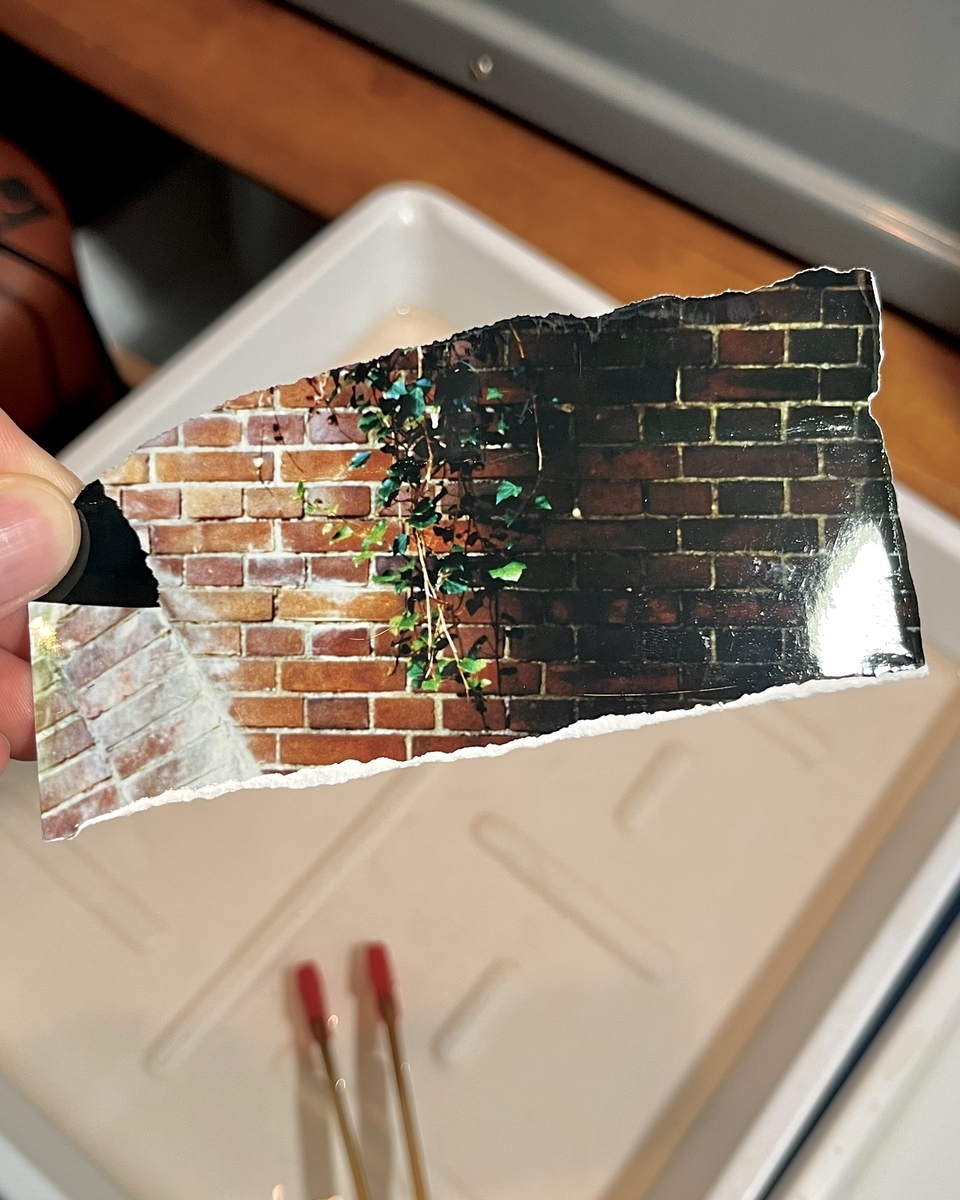 ネガ／ポジ、モノクロ／カラー、どんなフィルムも全部Valoyでプリント