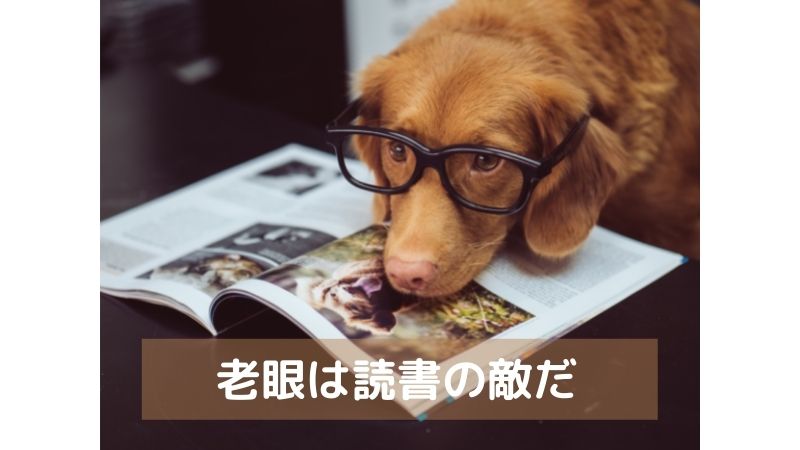f:id:moveon60:20210825135628j:plain