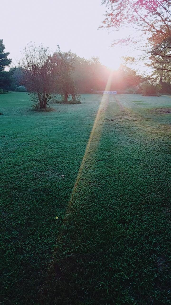 f:id:movetoTexas:20190130165745p:plain f:id:movetoTexas:20190130165745p:plain