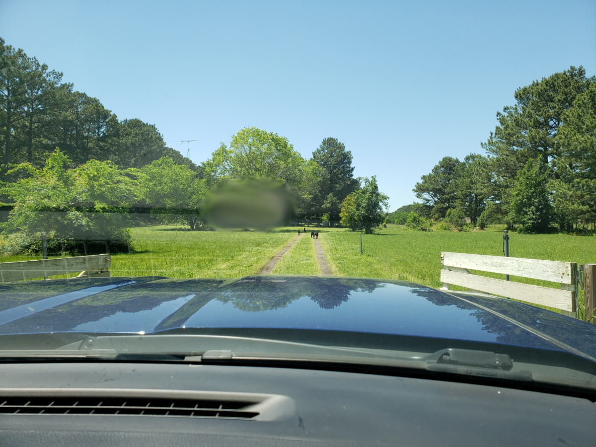 f:id:movetoTexas:20190702211810p:plain f:id:movetoTexas:20190702211810p:plain