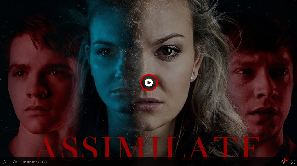 Movievideo S Diary