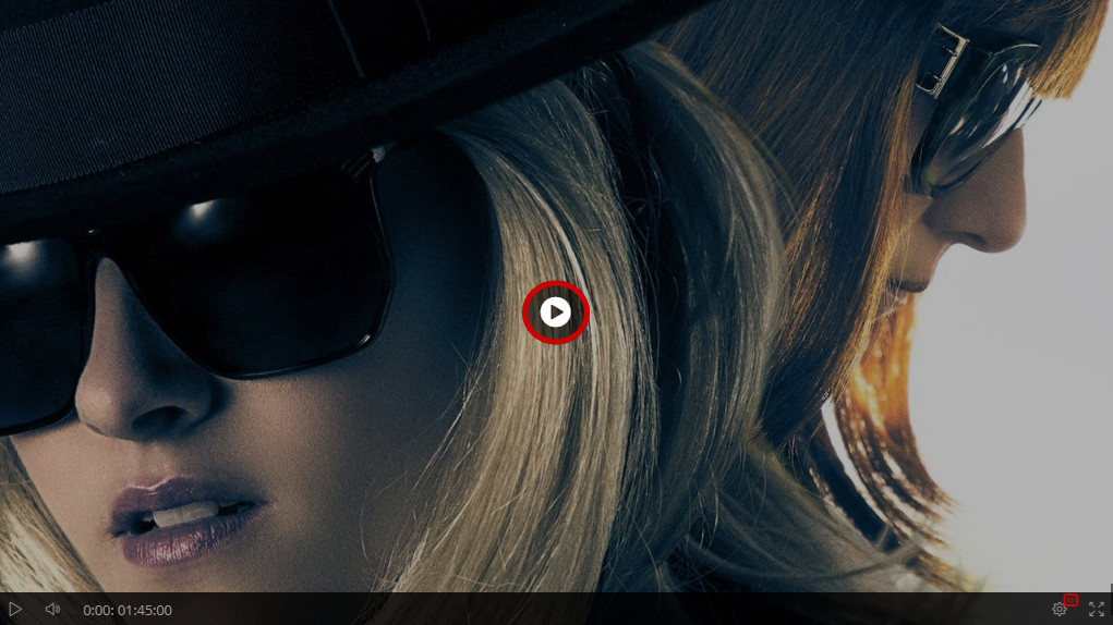Movievideo S Diary