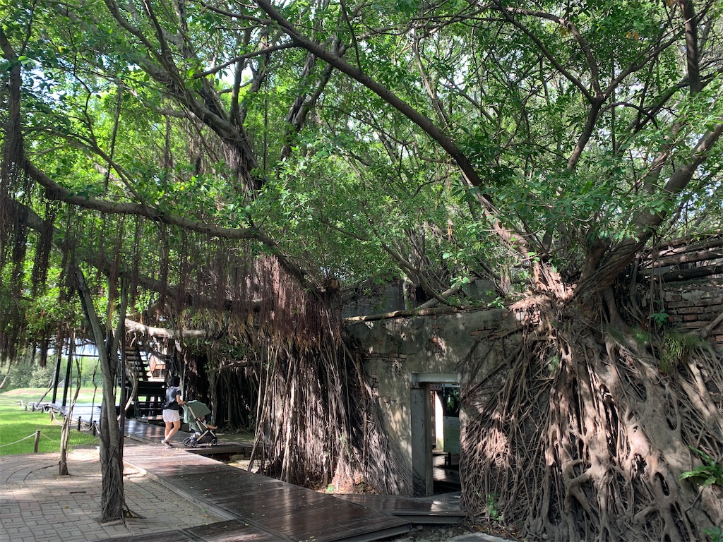 f:id:mowang:20230708155642j:image