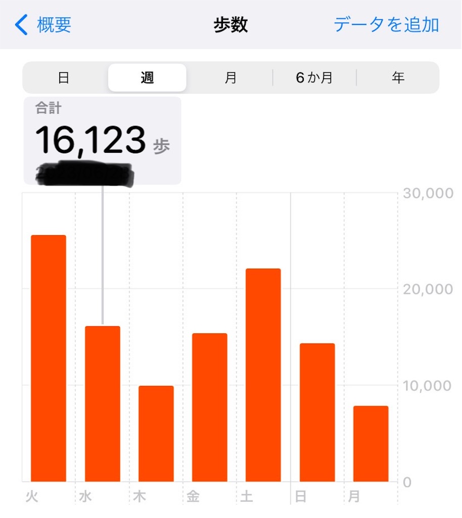 f:id:mowang:20240519221950j:image