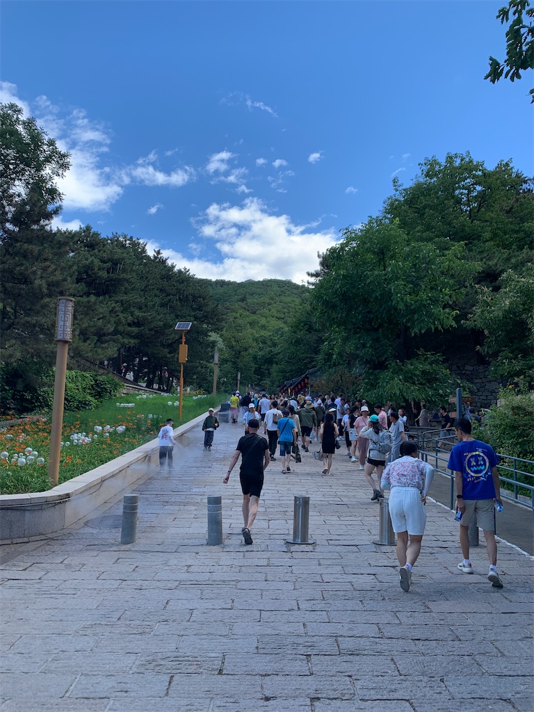 f:id:mowang:20240626201030j:image f:id:mowang:20240626201030j:image