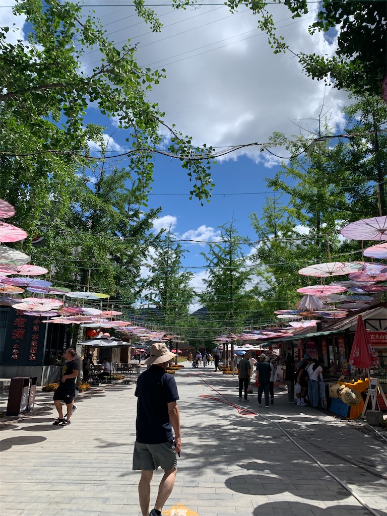 f:id:mowang:20240626201048j:image f:id:mowang:20240626201048j:image