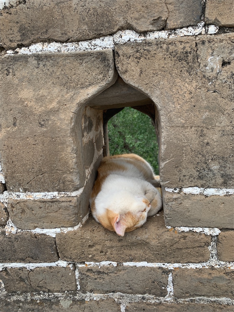 f:id:mowang:20240708162859j:image f:id:mowang:20240708162859j:image