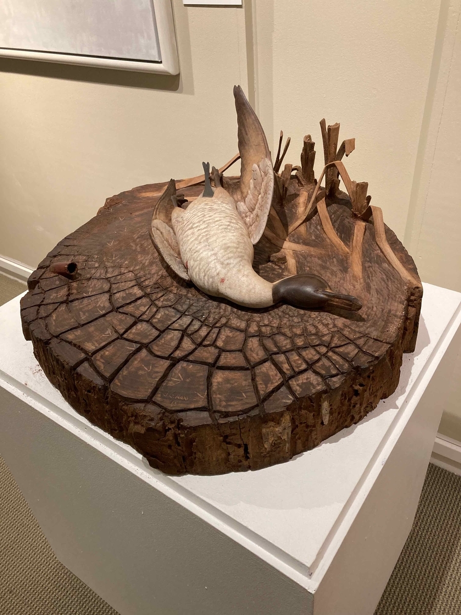 コネチカット州StamfordのMuseum & Nature Centerは、おすすめ - 40代