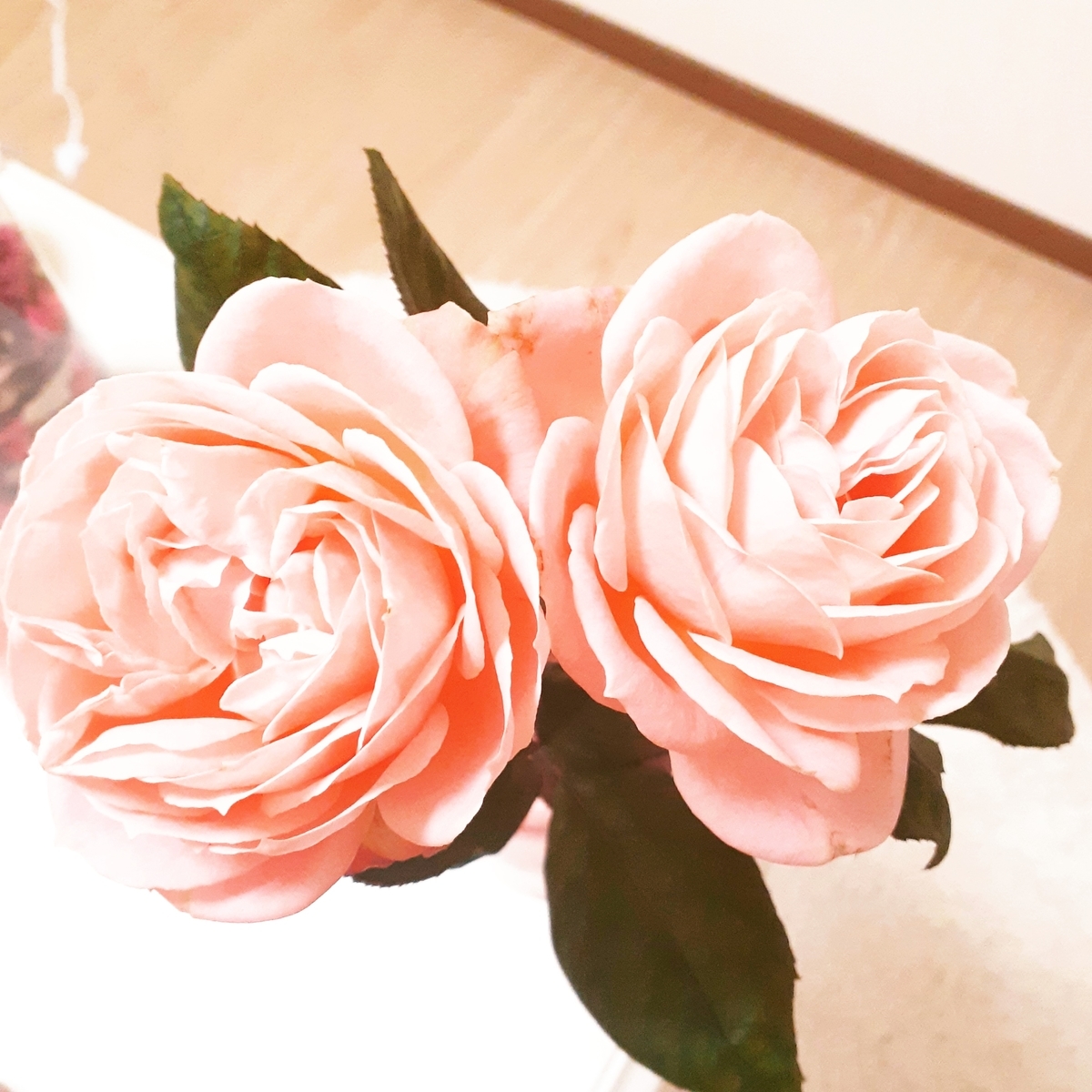 f:id:moyasan:20191229162841j:plain f:id:moyasan:20191229162841j:plain