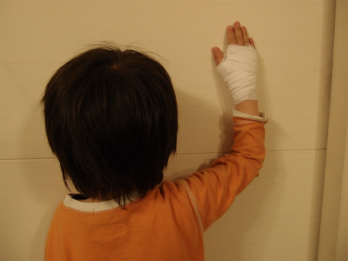 f:id:moyashinet:20160412073725j:plain