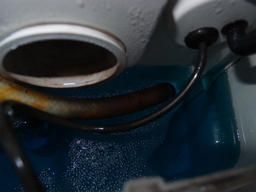 f:id:moyashinet:20170327223708j:plain f:id:moyashinet:20170327223708j:plain