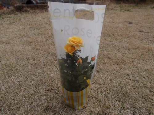 f:id:moyashinet:20170402222717j:plain