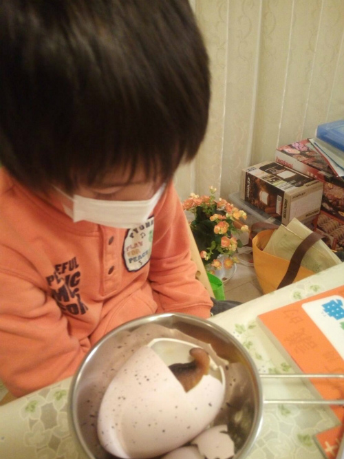 f:id:moyashinet:20170404220519j:plain