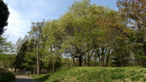 f:id:moyashinet:20170422202021j:plain f:id:moyashinet:20170422202021j:plain