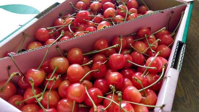 f:id:moyashinet:20170618211728j:plain f:id:moyashinet:20170618211728j:plain