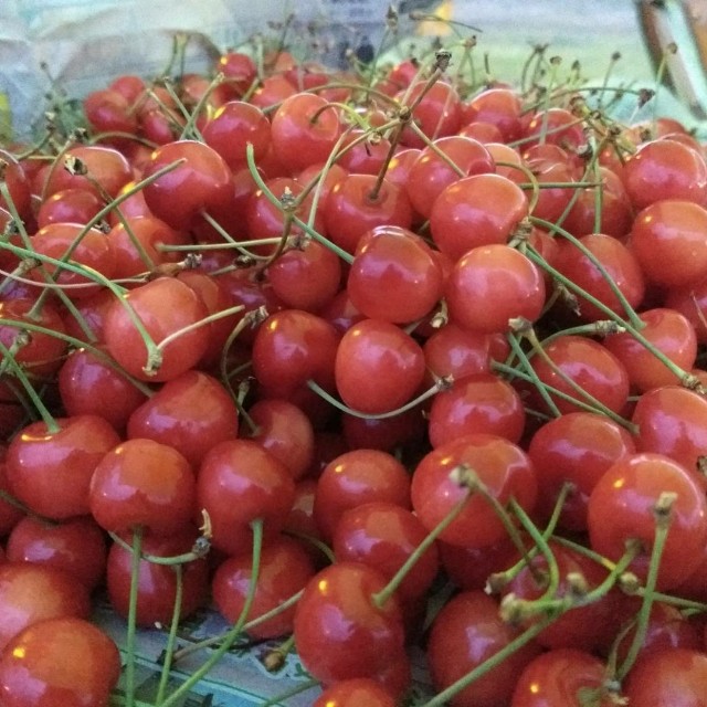 f:id:moyashinet:20170625081121j:image