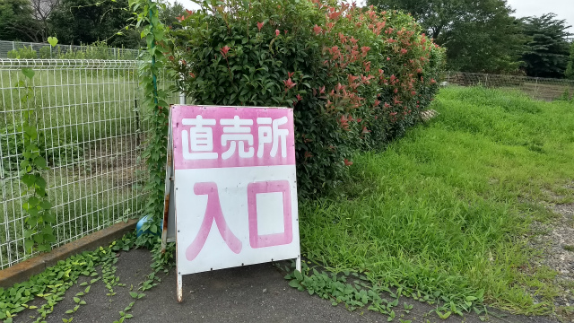 f:id:moyashinet:20170806212545j:plain