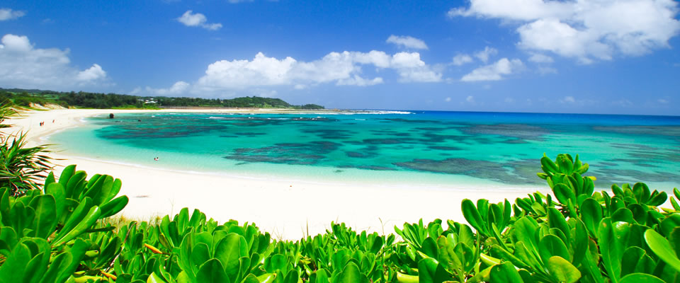 f:id:moyashinet:20170922234128j:plain f:id:moyashinet:20170922234128j:plain