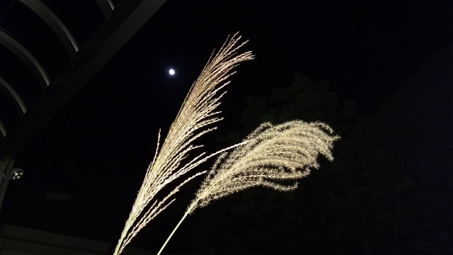 f:id:moyashinet:20171004233943j:plain