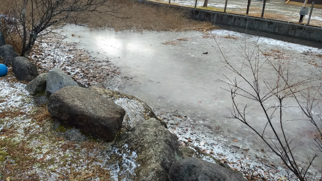 f:id:moyashinet:20171214221436j:plain f:id:moyashinet:20171214221436j:plain