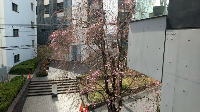 f:id:moyashinet:20180326213821j:plain f:id:moyashinet:20180326213821j:plain