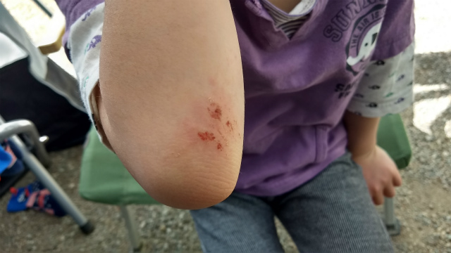 f:id:moyashinet:20180430210134j:plain