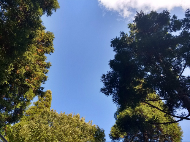 f:id:moyashinet:20181106223118j:plain