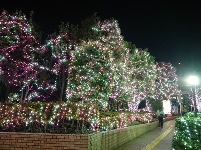 f:id:moyashinet:20190123191516j:image