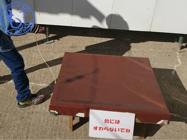 f:id:moyashinet:20190204223046j:plain