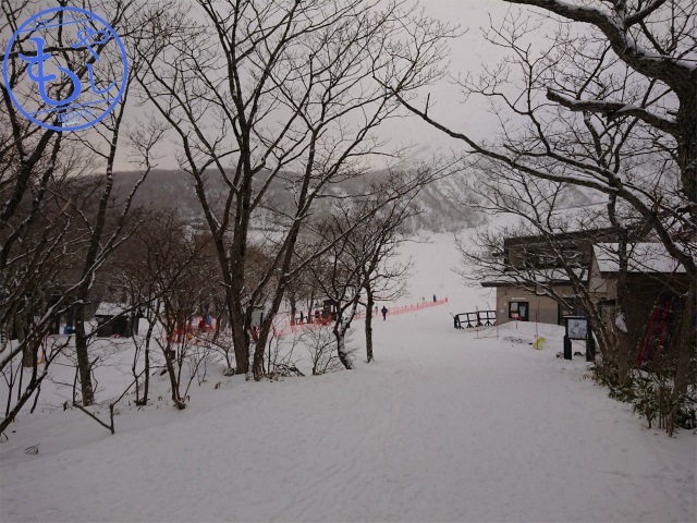 f:id:moyashinet:20190212205244j:plain f:id:moyashinet:20190212205244j:plain