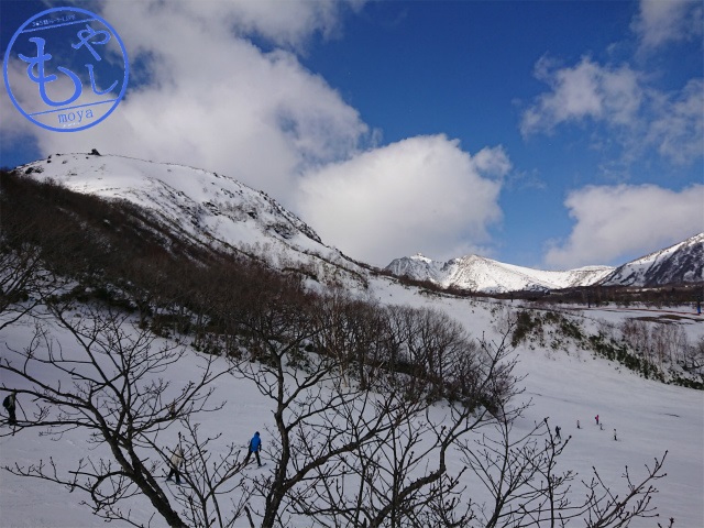 f:id:moyashinet:20190217225726j:plain f:id:moyashinet:20190217225726j:plain