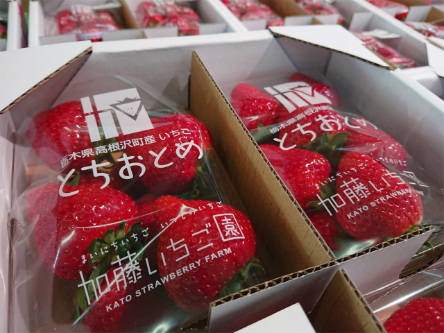 f:id:moyashinet:20190403231323j:plain