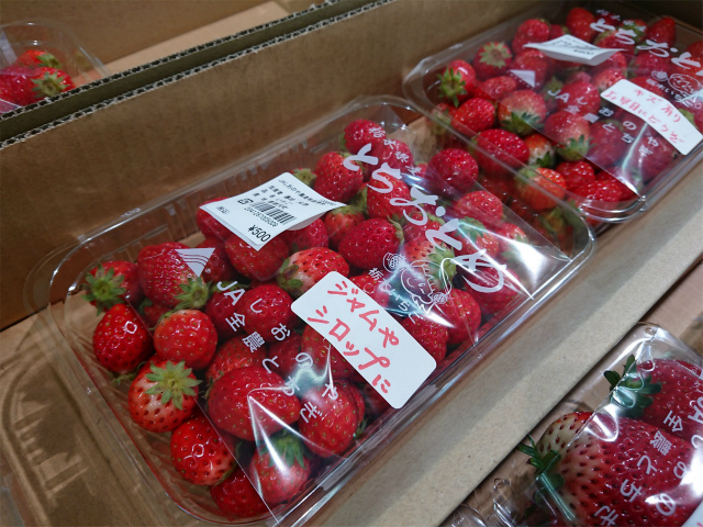 f:id:moyashinet:20190403231337j:plain