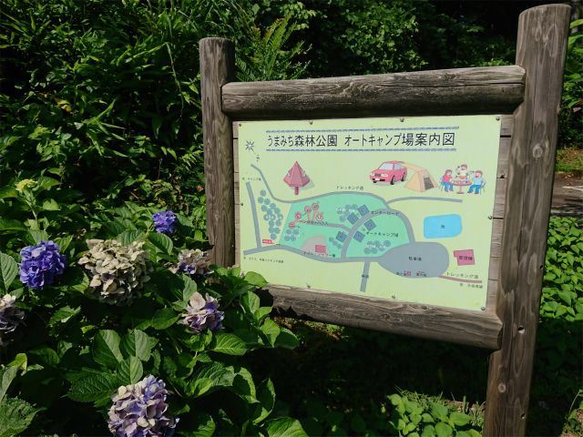 f:id:moyashinet:20190805213905j:plain