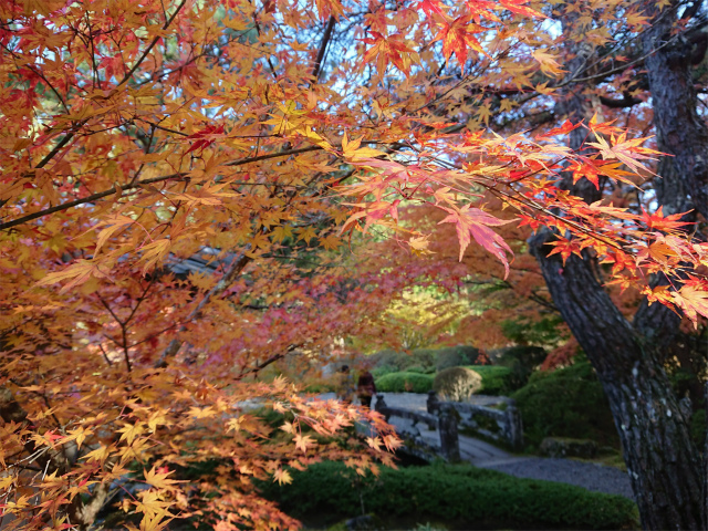 f:id:moyashinet:20191119213304j:plain