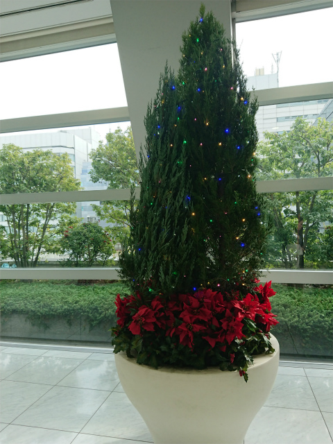 f:id:moyashinet:20191207223535j:plain f:id:moyashinet:20191207223535j:plain