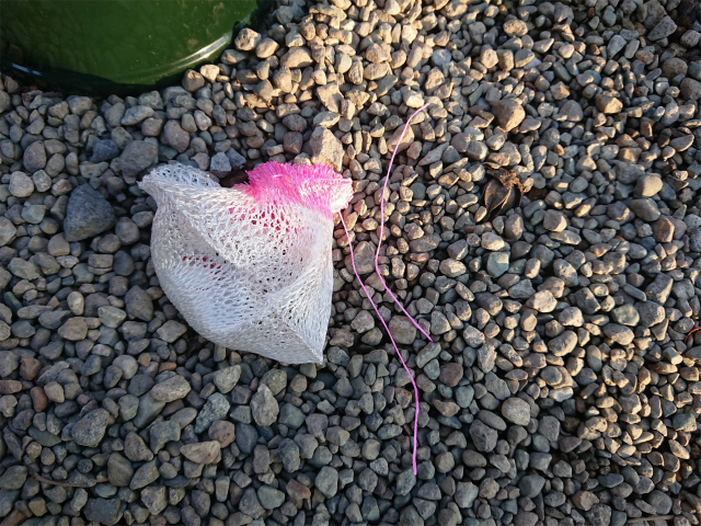 f:id:moyashinet:20200113210035j:plain