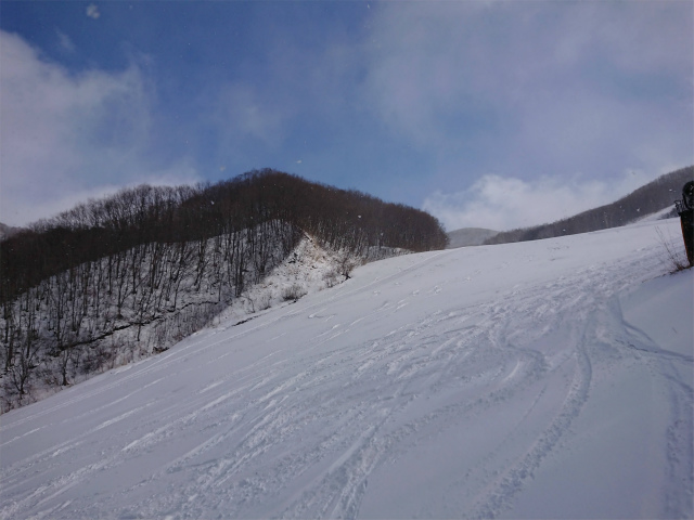f:id:moyashinet:20200201220407j:plain