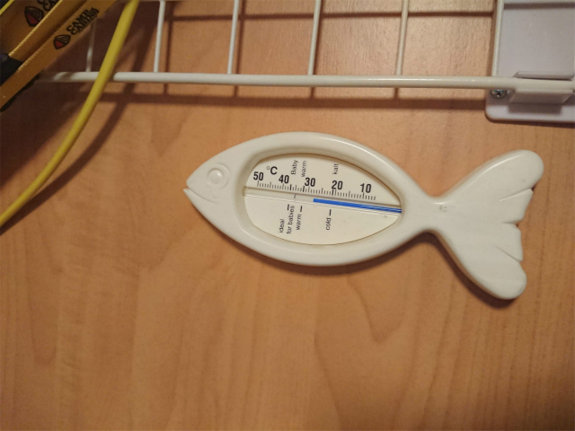 f:id:moyashinet:20200212223107j:plain f:id:moyashinet:20200212223107j:plain