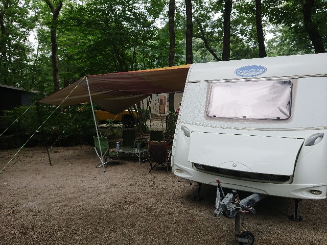 f:id:moyashinet:20200724213252j:image f:id:moyashinet:20200724213252j:image